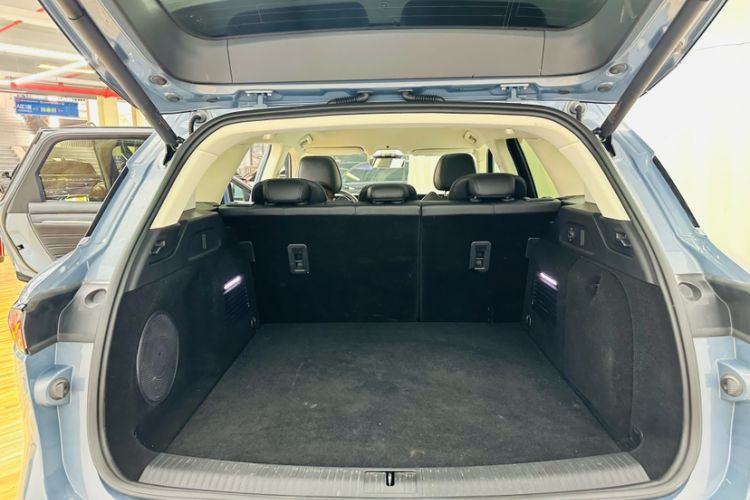 Used VOYAH FREE 2021 Four-Wheel Drive Standard Range-Extended Exclusive Luxury Package
