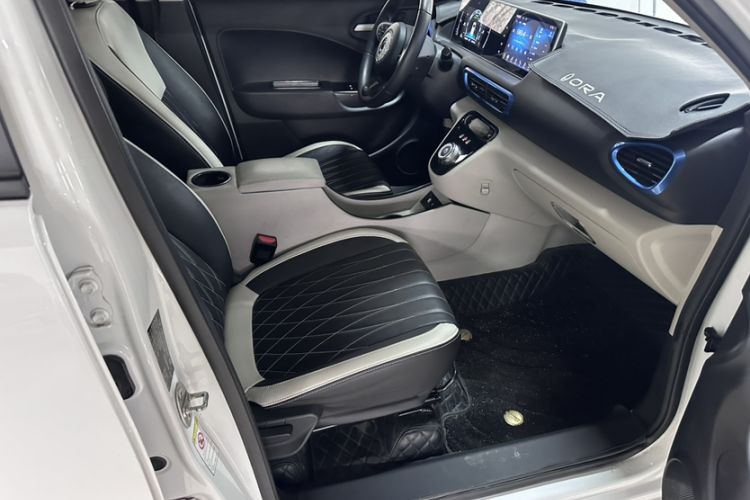 Used ORA White Cat 2020 305 km Luxury Version
