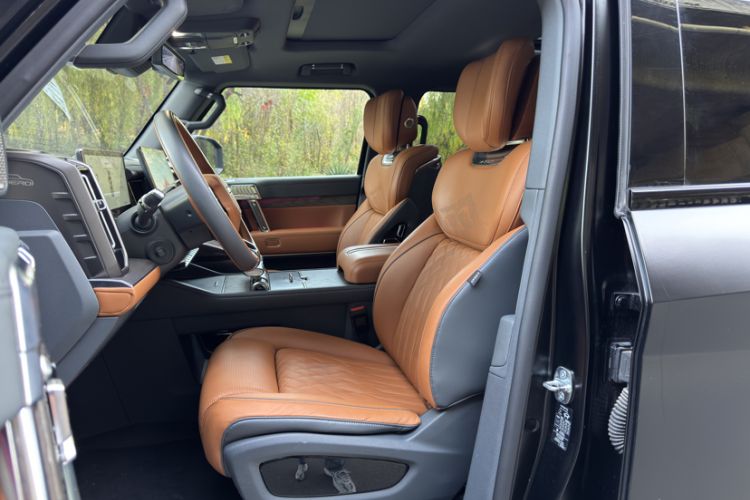 Used  917 2023 Pure Electric Base Model
