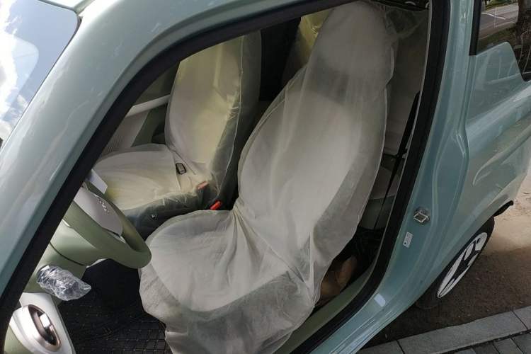 Used  Panda 2025 210 km – Yuanqi Bear
