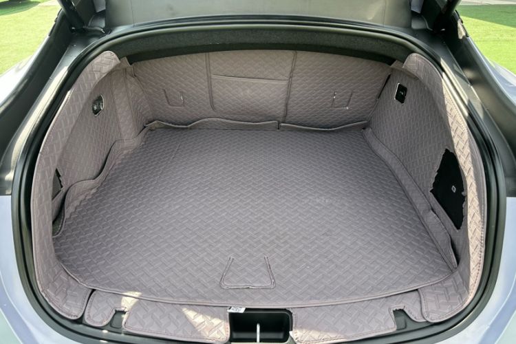 Used  06 2025 Max Extended-Range Edition
