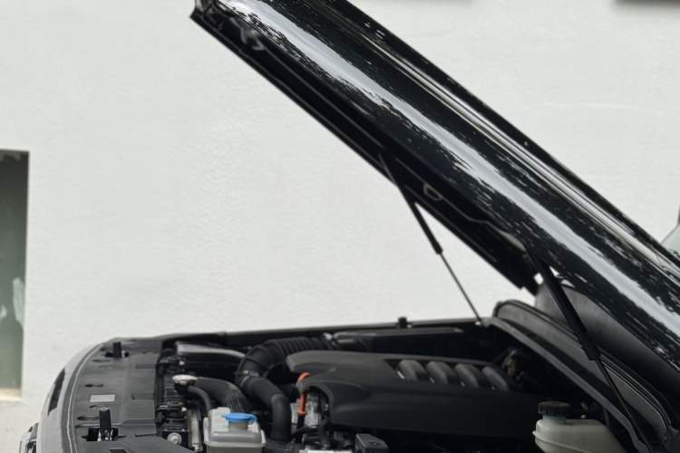 Used Tank 300 2023 Off-Road Edition 2.0T Conqueror
