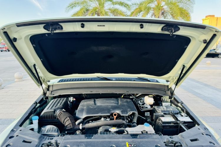 Used Tank 300 2021 City Edition 2.0T—Truly Stylish