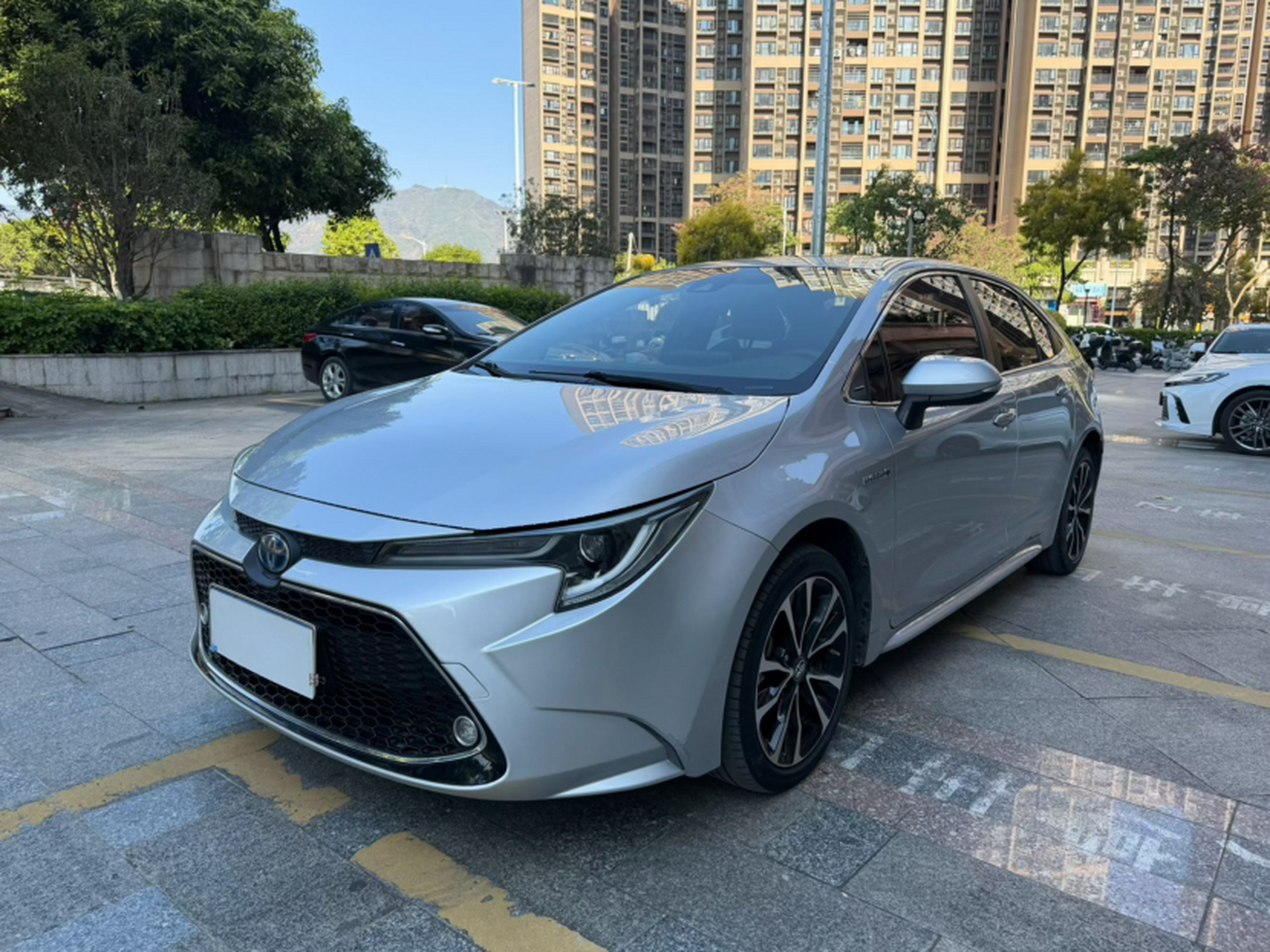 تحت مقدمة السيارة