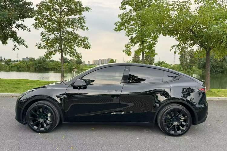 Used Tesla Model Y 2022 Rear-Wheel-Drive Version
