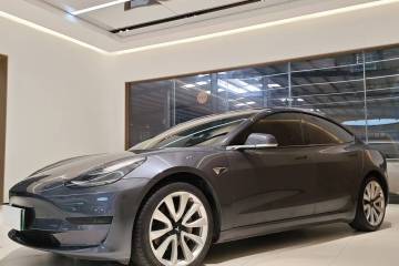 Used Tesla Model 3 2019 Standard Range Rear-Drive Upgraded Version