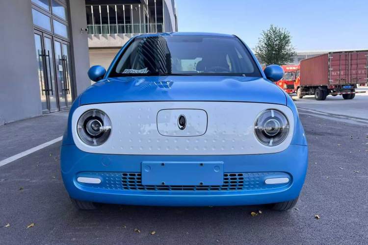 Used ORA Black Cat 2021 301 km Basic Version
