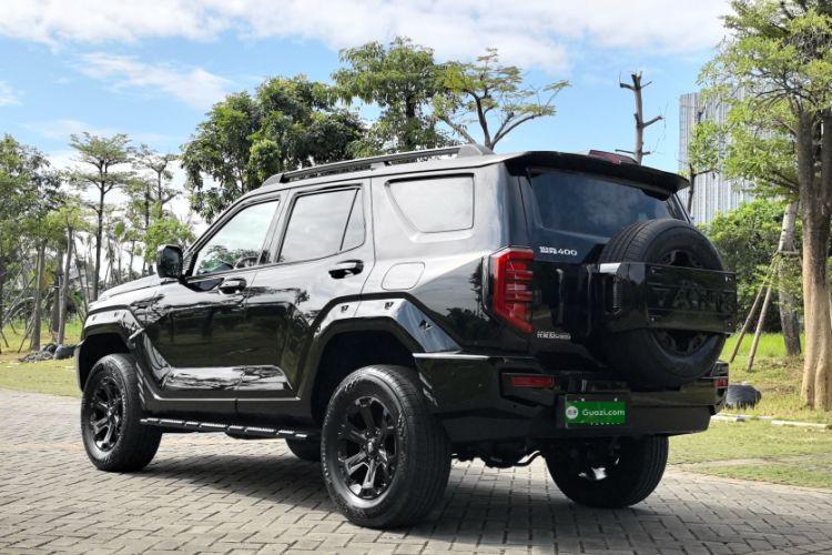 Used Tank 400 2025 2.0T Gasoline Version
