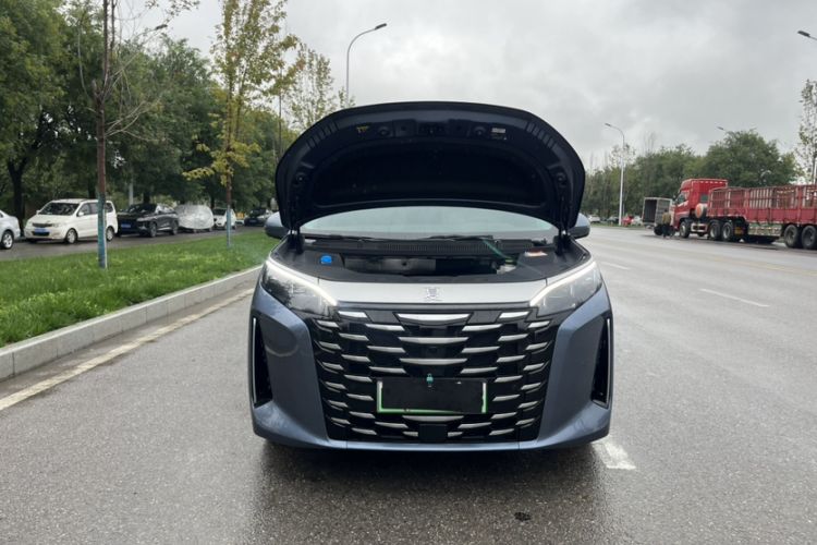 Used BYD Xia 2025 DM-i 1.5T 180km Excellence Model
