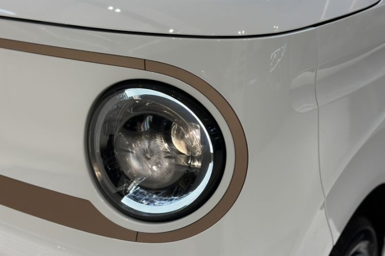 Used  Panda 2024 Panda Mini 200km Endurance Bear
