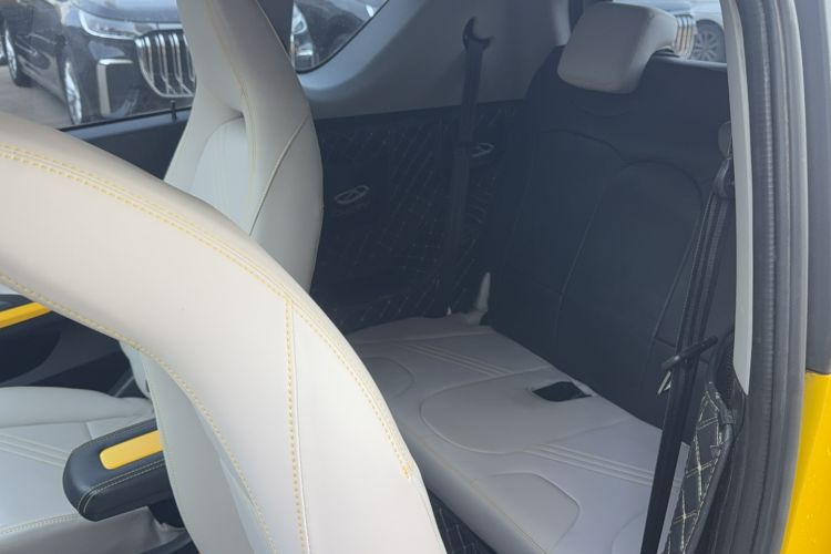 Used Chery Little Ant 2021 150 000 Yuan "Ant Fan" Edition New Ant Cool Version Lithium-Ion Battery
