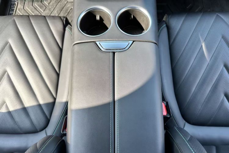 Used  SL03 2023 515MAX Pure Electric Version
