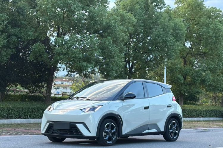 Used BYD Seagull 2023 Free Edition
