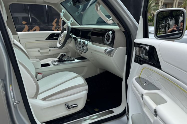 Used  Tank 300 2021 2.0T Cyber Tank
