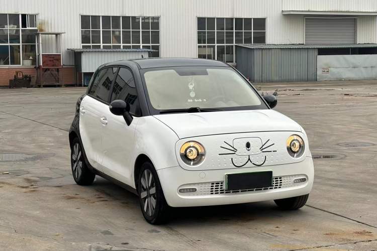 Used ORA Black Cat 2021 351 km Standard Version
