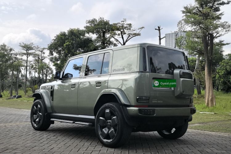 Used  V23 2025 501 Four-Wheel Drive Intelligent Driving Version
