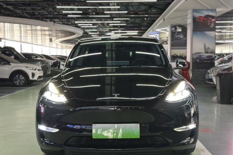 Used Tesla Model Y 2021 Standard Range Rear-Wheel Drive Version
