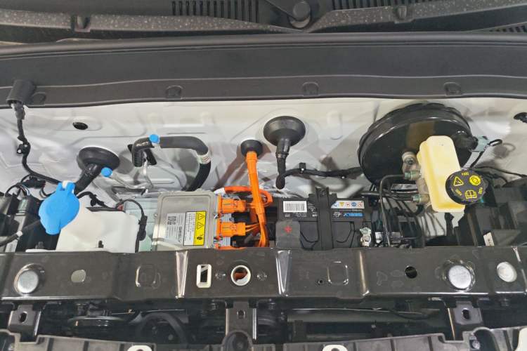 Used  Panda 2024 Panda Mini 200km Endurance Bear
