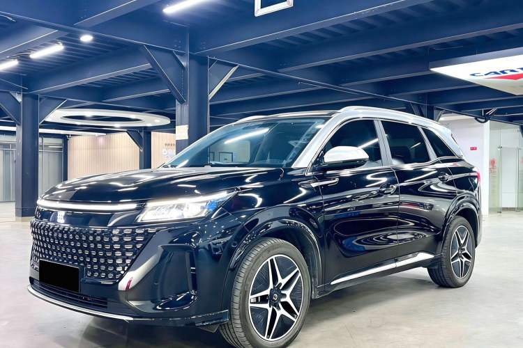 Used  E5 2024 Honor Edition 100KM Premium Model 7 Seats