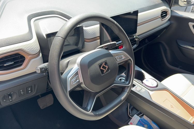 Used SOL E10X 2022 Flower Fairy Design Four-Leaf Clover
