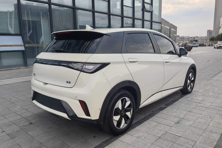 Used BYD Dolphin 2024 Honor Edition 420km Fashion Version
