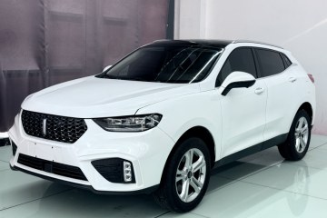 Used Wey VV5 2020 1.5T Two-Wheel Drive Color Pioneer