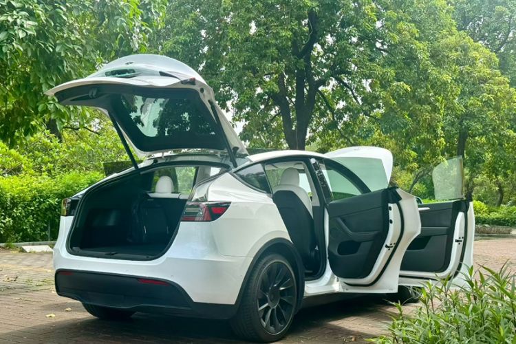 Used Tesla Model Y 2021 Long-Range All-Wheel-Drive Version 3D7
