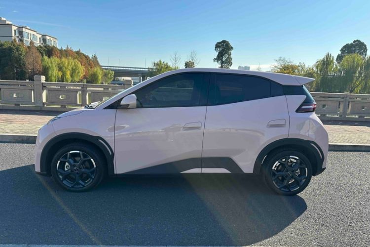 Used BYD Seagull 2024 Honor Edition 305km Freedom Version
