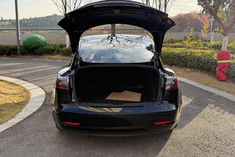 Used Tesla Model 3 2020 Standard Range Rear-Wheel Drive Upgraded Version