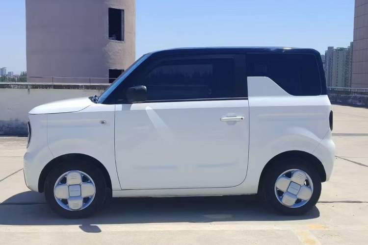 Used  Panda 2023 Panda Mini 200km Endurance Bear
