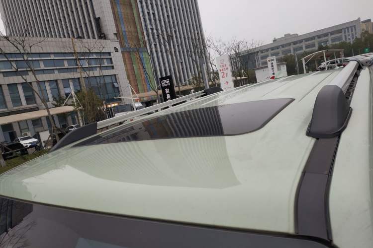 Used Tank 300 2024 2.0T Crosser
