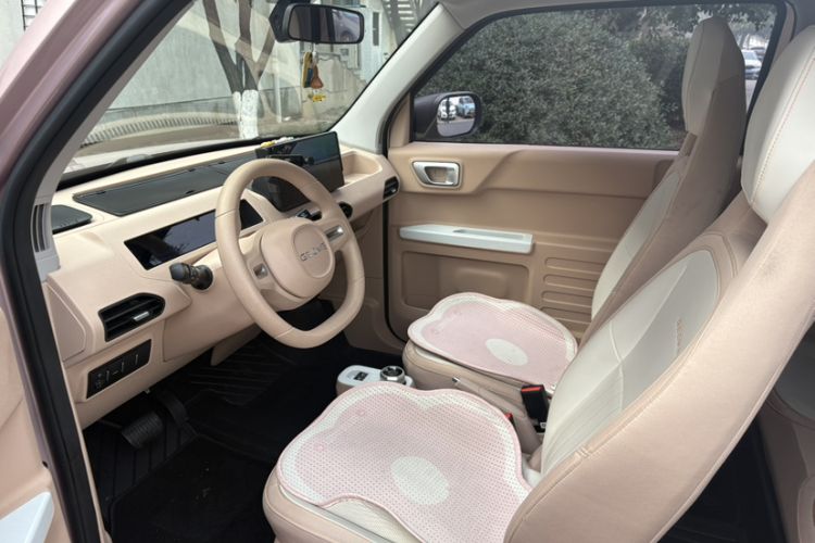 Used  Panda 2023 Panda Mini 200km Endurance Bear