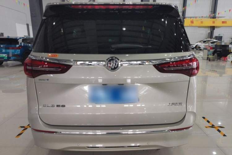 Used Buick GL8 2022 ES Landtrek 653T Luxury Edition
