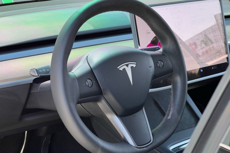 Used Tesla Model Y 2021 Standard Range Rear-Wheel Drive Version
