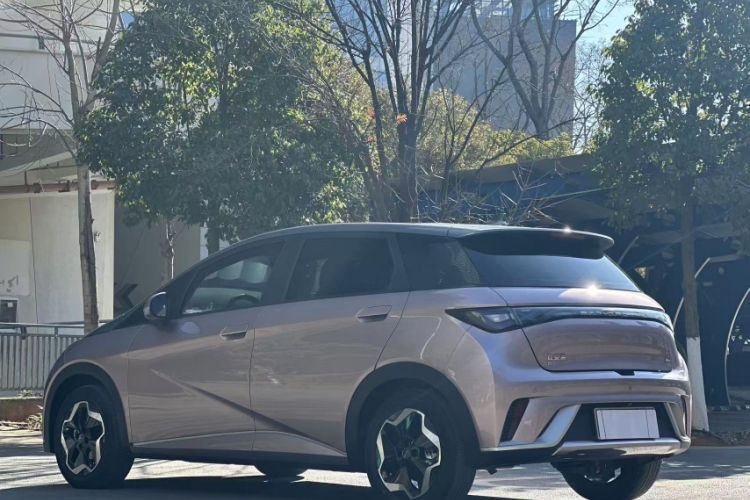 Used BYD Dolphin 2021 405 km Fashion Edition