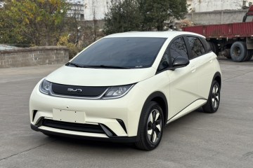 Used BYD Dolphin 2025 420km Free Edition