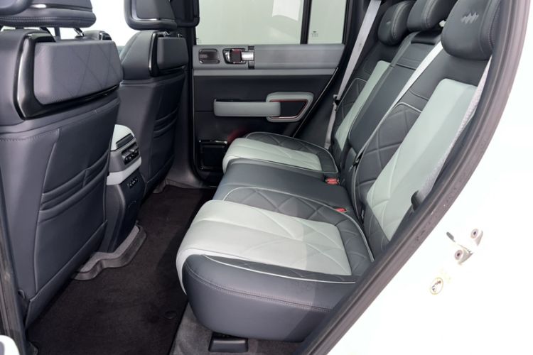 Used  Leopard 5 2023 Cloud Ride Flagship Edition
