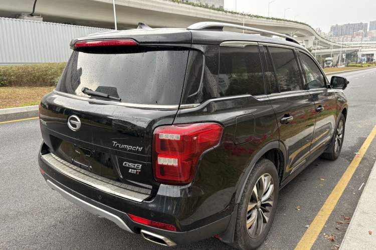 Used GAC Trumpchi GS8 2017 320T Two-Wheel Drive Luxury Smart Connectivity Version (7 Seats)
