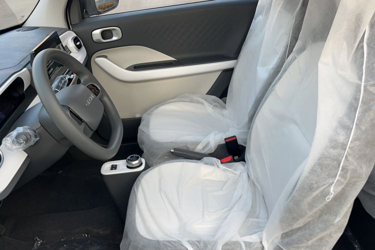 Used  Panda 2025 210 km – Yuanqi Bear
