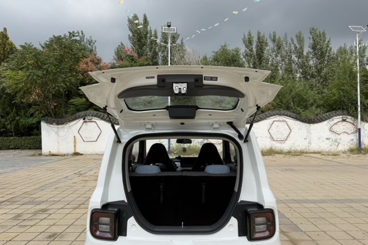 Used  Panda 2024 Panda Mini 200km Endurance Bear
