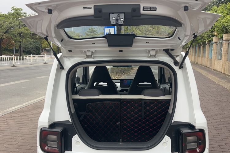 Used  Panda 2024 200km Panda Rider