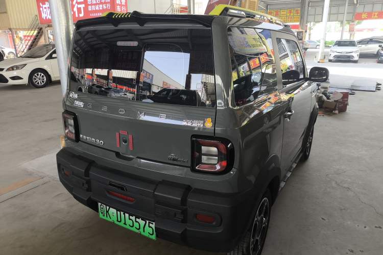 Used  Panda 2024 200km Panda Rider
