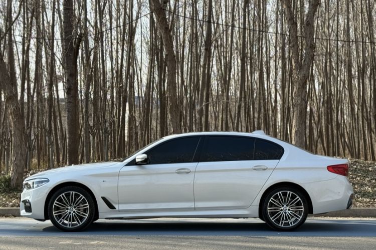 Used BMW 5 Series 2018 530Li Luxury Edition M Sport Package
