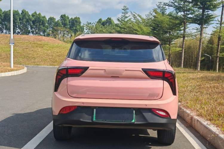 Used NETA V 2021 Witch Edition
