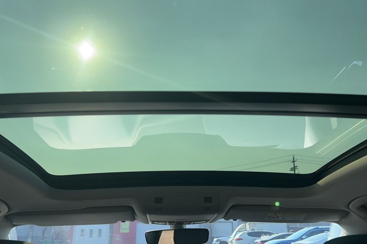 Used Volkswagen Magotan 2020 330TSI DSG Leading Model
