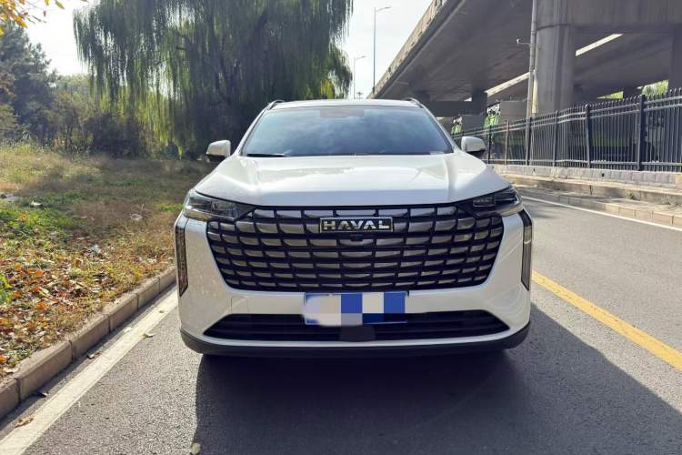 Used Haval H6 2024 1.5T Two-Wheel Drive Pro
