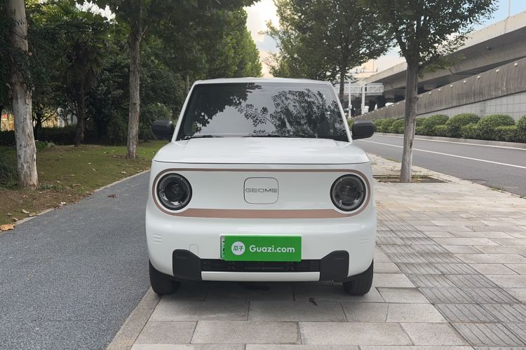 Used  Panda 2024 Panda Mini 200km Endurance Bear
