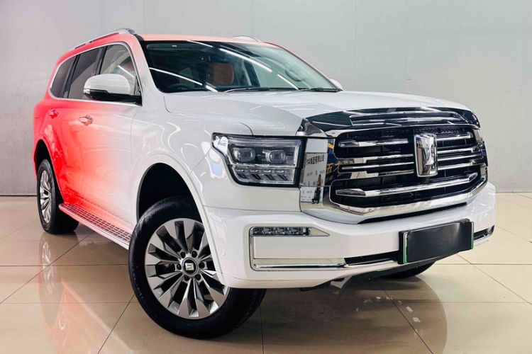 Used Tank 500 New Energy 2025 Hi4-Z
