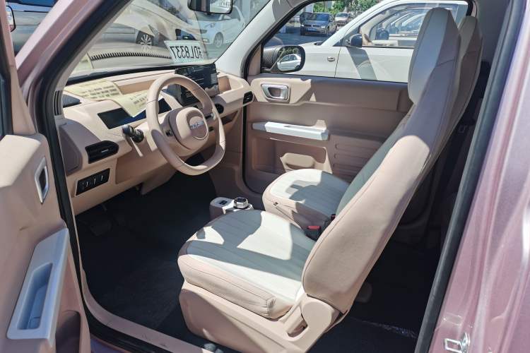 Used  Panda 2024 Panda Mini 200km Endurance Bear
