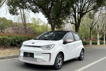 Used SOL E10X 2022 Flower Fairy Style Baby's Breath